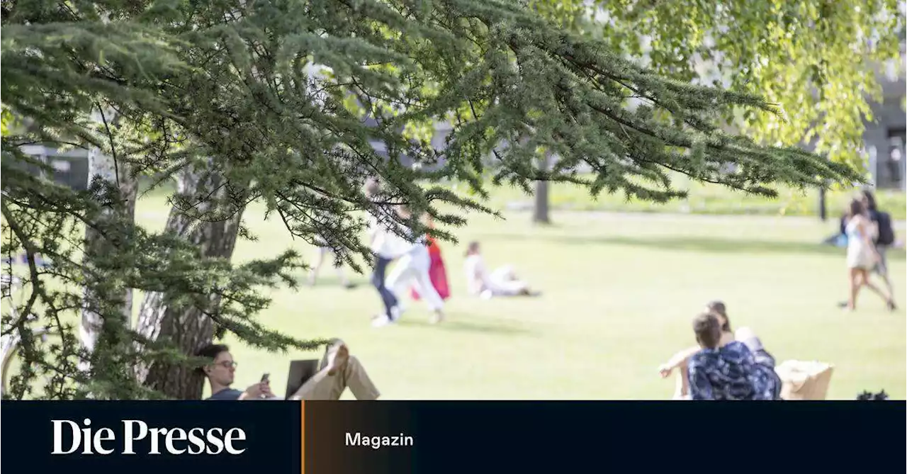 Der heißeste September der Geschichte: Wann wird es endlich...