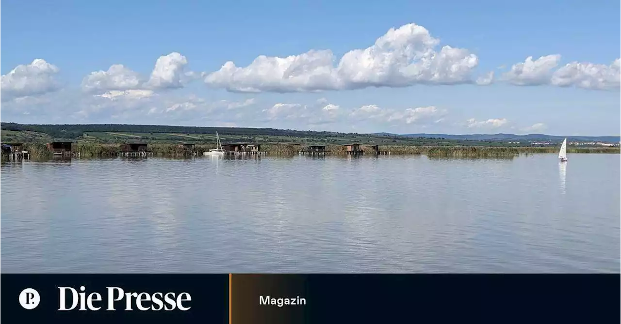 Neusiedler See: Das Glas ist halb voll, nicht halb leer