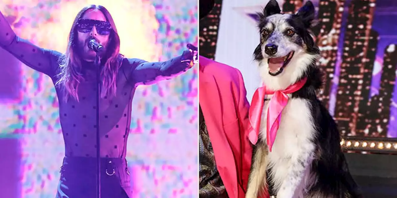 Jared Leto sings, dog cooks dinner in wild 'America's Got Talent' finale