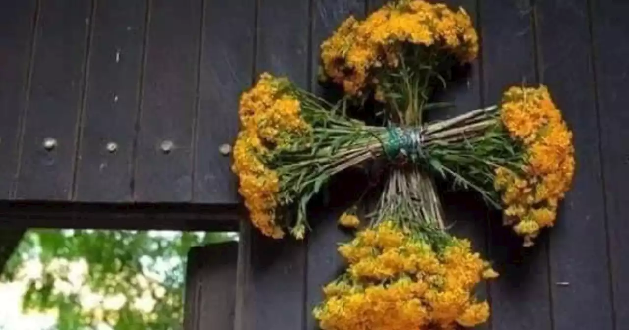 ¿Cuándo se celebra a san Miguel Arcángel y por qué se ponen cruces de pericón?