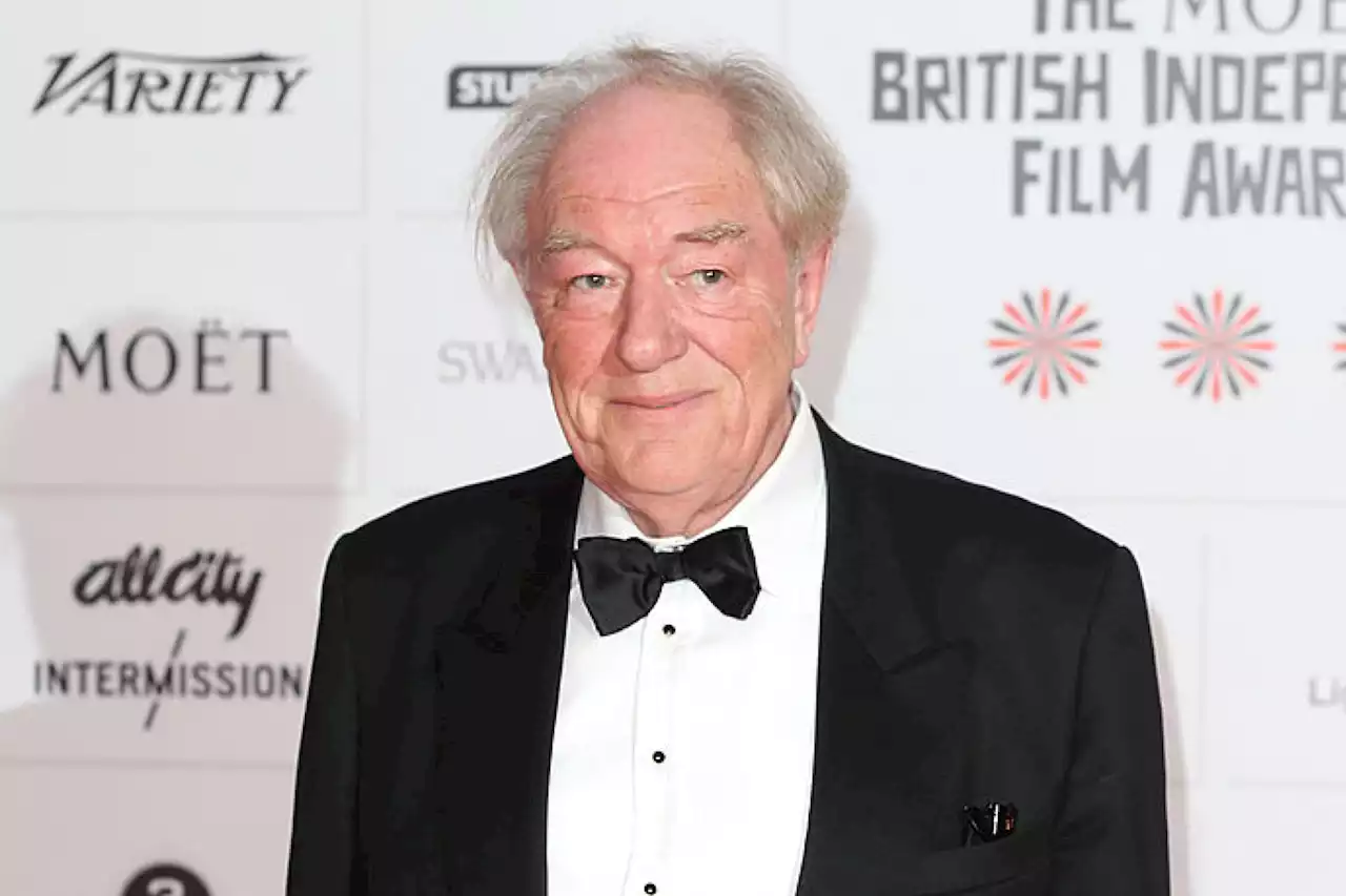 Michael Gambon (†82): 'Harry Potter'-Kollegen gedenken dem Schauspieler