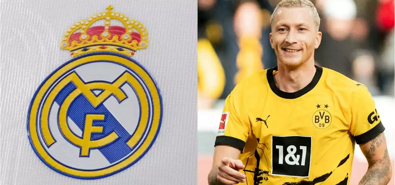 TODOS EN EL REAL MADRID SABÍAN QUE LO IBA A ELEGIR A ÉL | Marco Reus nombró al ídolo del Real Madrid con el que siempre quiso jugar