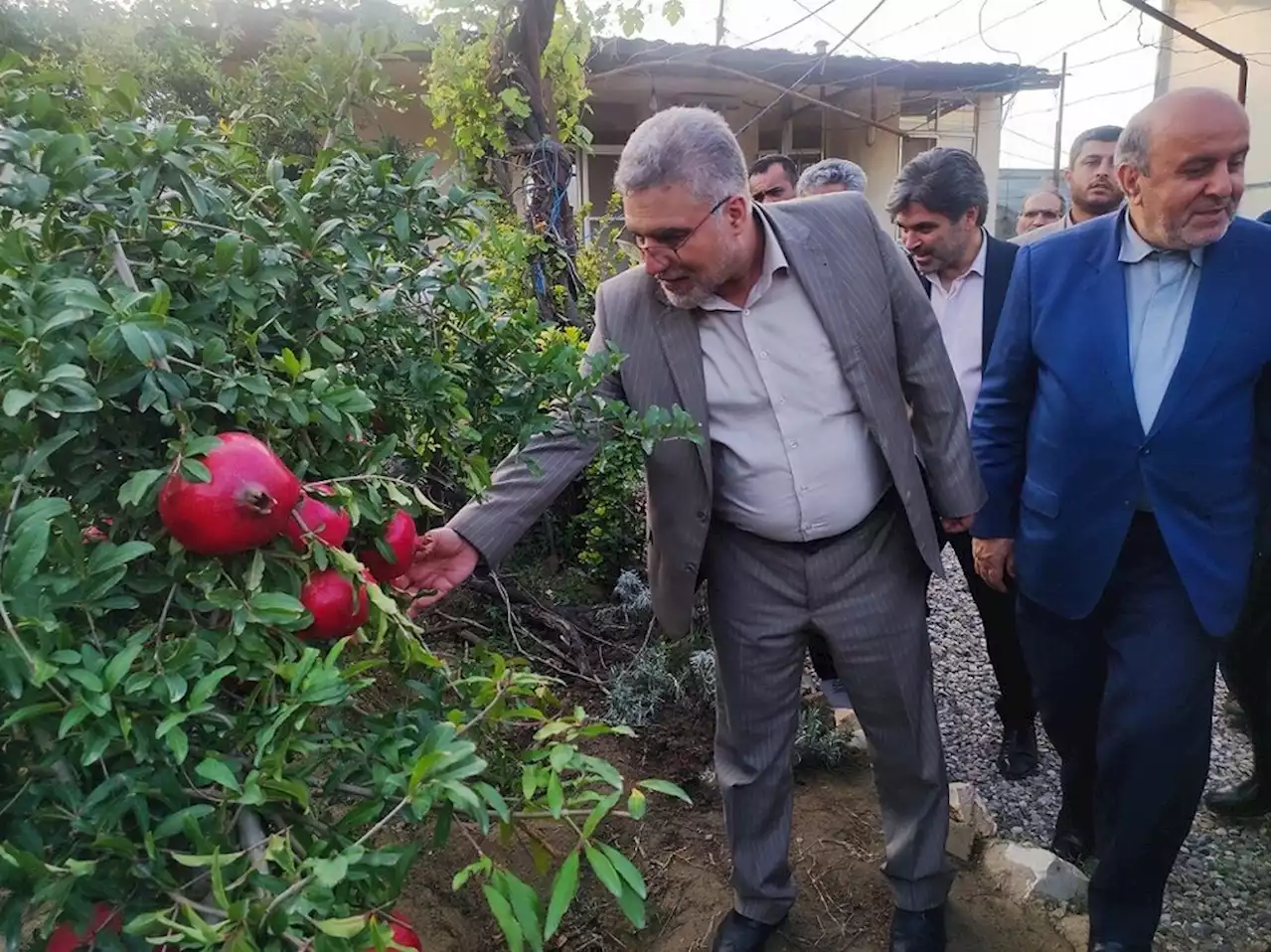 برنجکار شمالی نباید متضرر شود