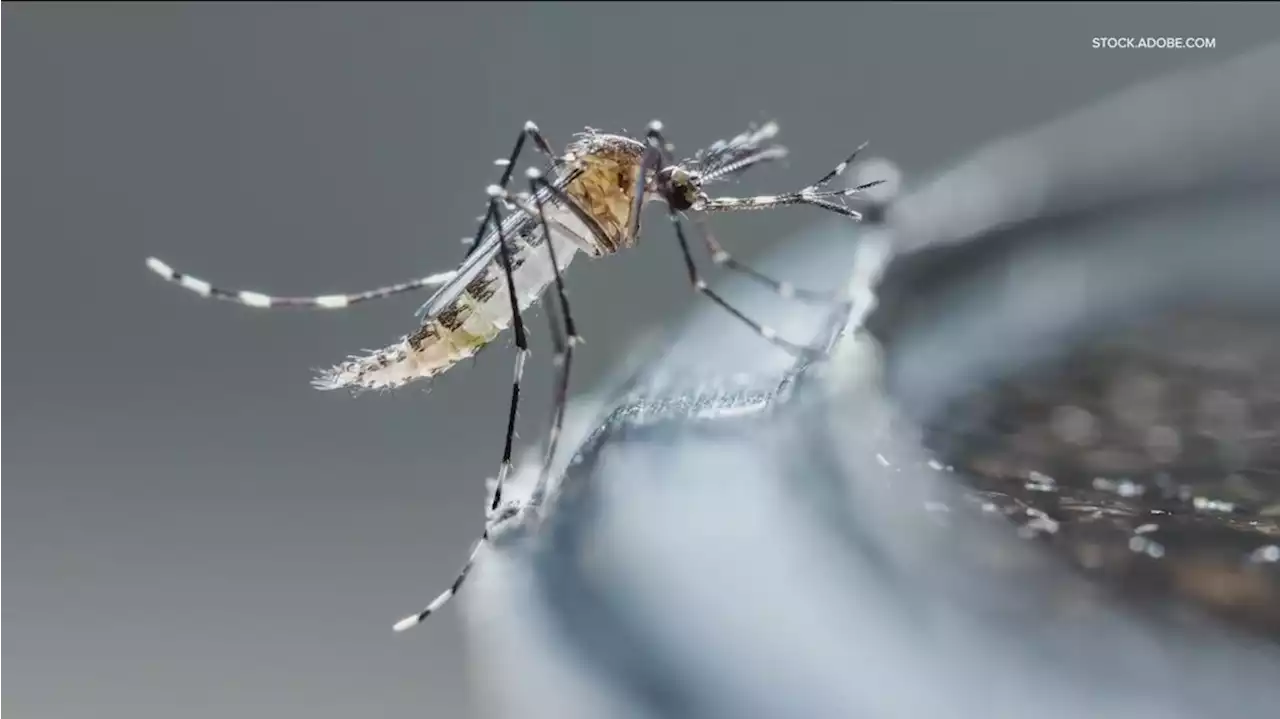 Austin Public Health reports first West Nile virus death of the year