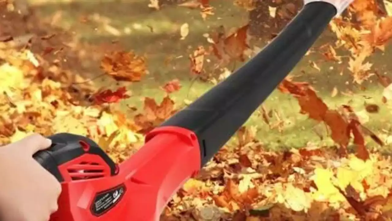 À prix cassé, ce souffleur à feuilles est un incontournable du jardin pour le début de l'automne