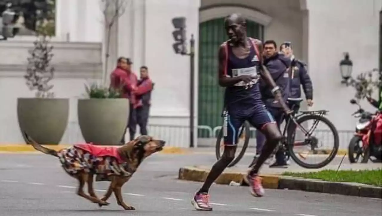 Inseguito da un cane durante la maratona di Buenos Aires, l'atleta keniano perde la corsa e il ricco montepremi