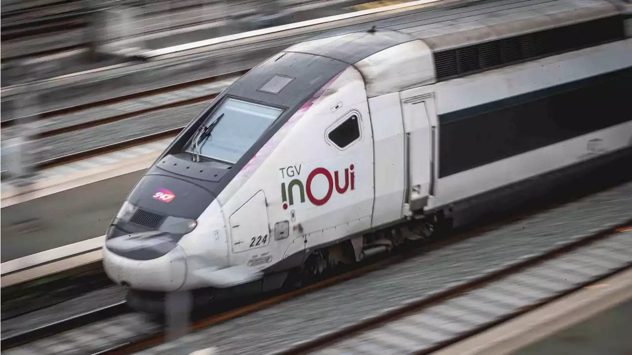 Punaises de lit dansles TGV, métros, avions: le gouvernement convoque les opérateurs de transport