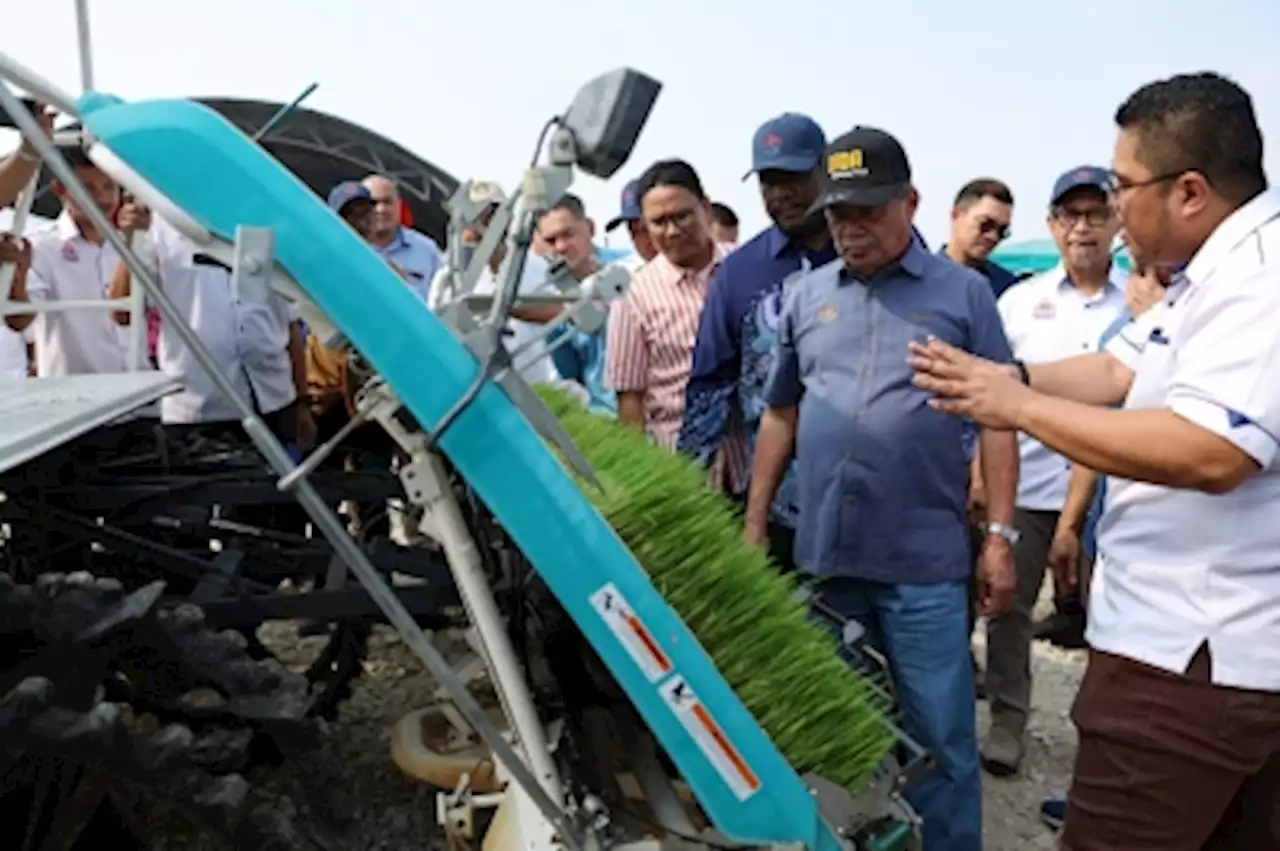 White rice export restrictions: Talks held with Indian govt reps, says Mat Sabu