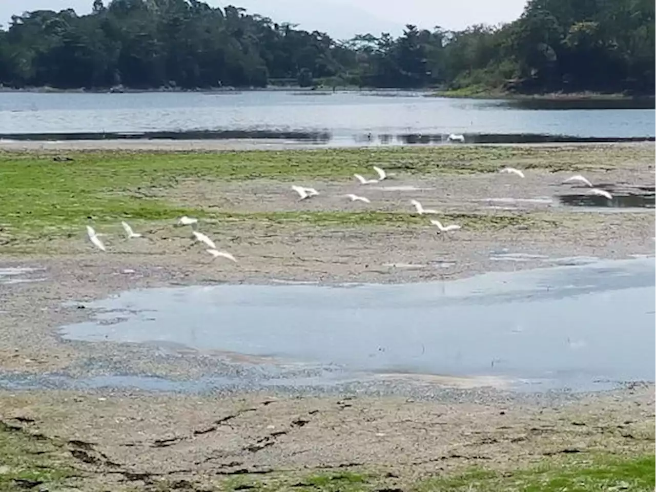 Debit Air Objek Wisata Situ Gede Kota Tasikmalaya Menyusut Drastis