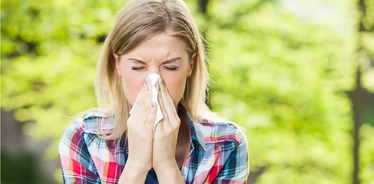 Handkerchief or tissue? Which one's better for our health and the planet?