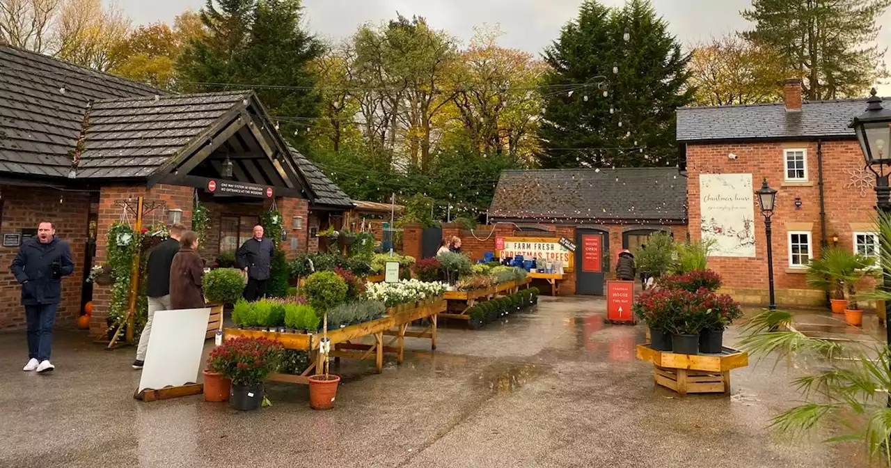 The story behind the '£50 farm shop' that sees customers queuing out the door