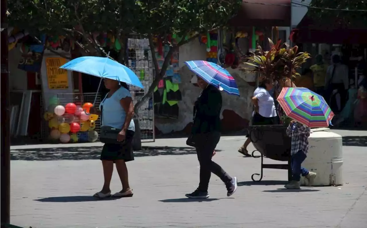 Clima en Nuevo León HOY 29 de septiembre del 2023