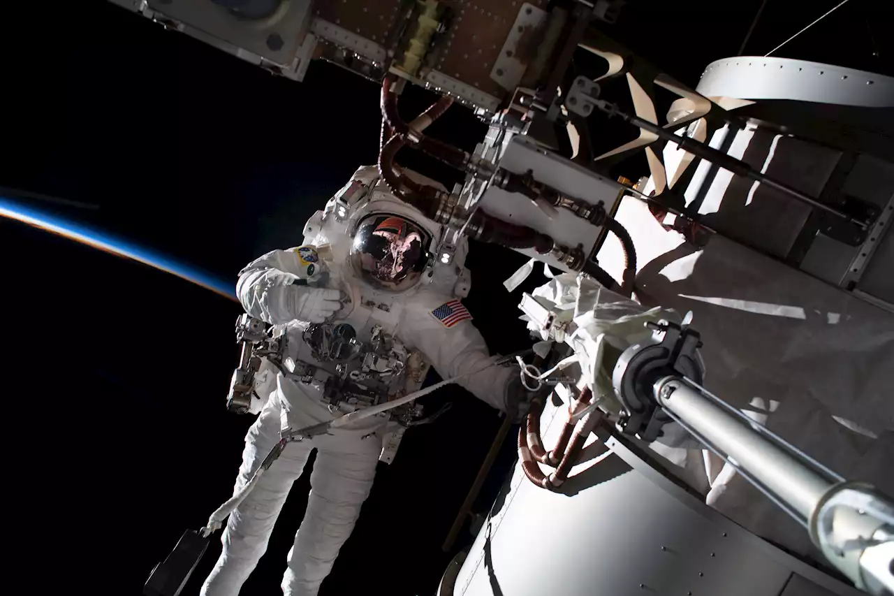 Scientific Highlights of NASA Astronaut Frank Rubio’s Year in Space