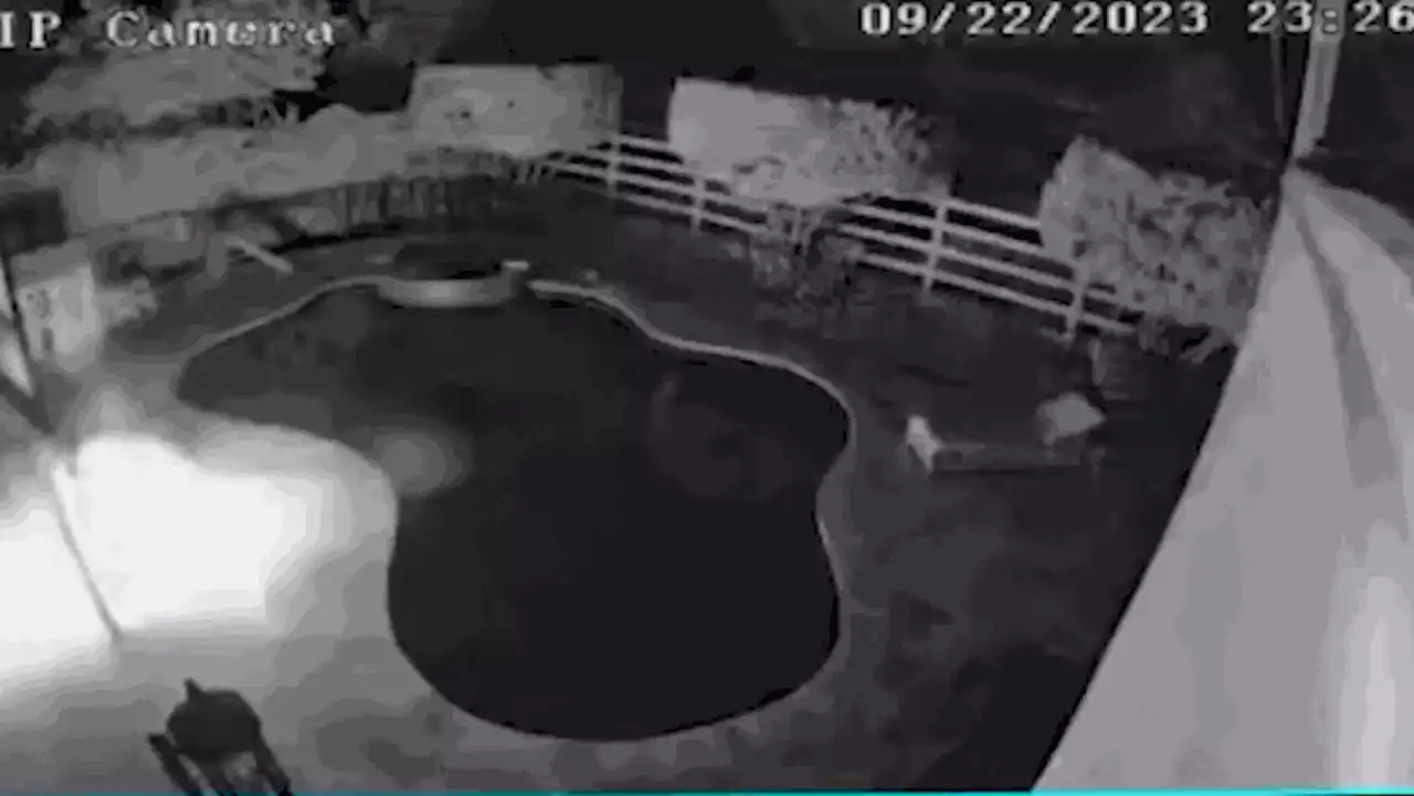 Florida vandals caught on camera throwing exploding fireworks at home with family inside