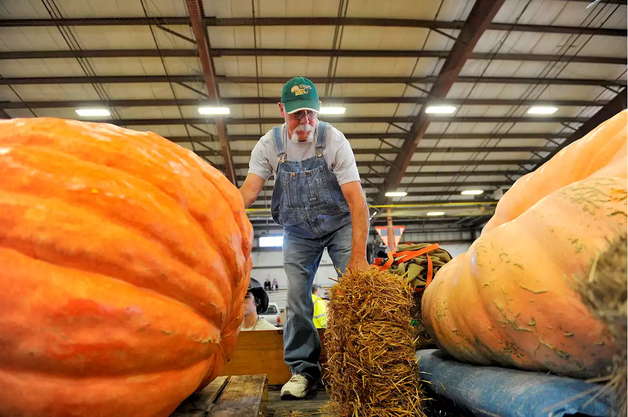 What to know about the Topsfield Fair