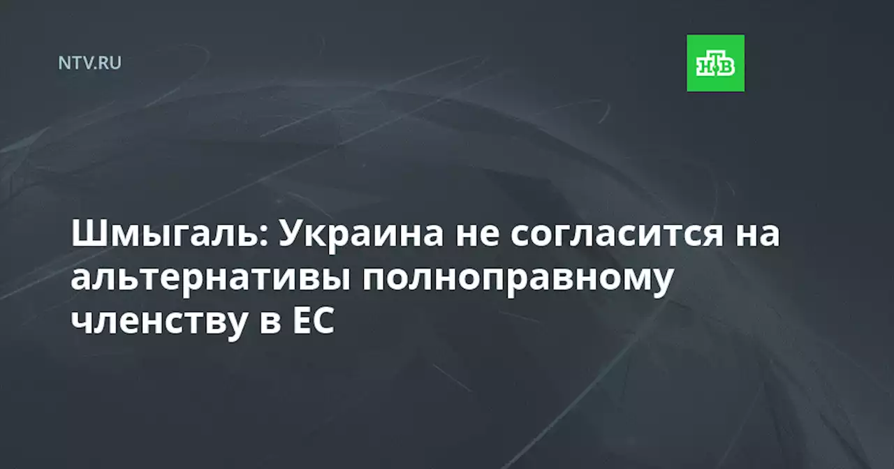 Шмыгаль: Украина не согласится на альтернативы полноправному членству в ЕС