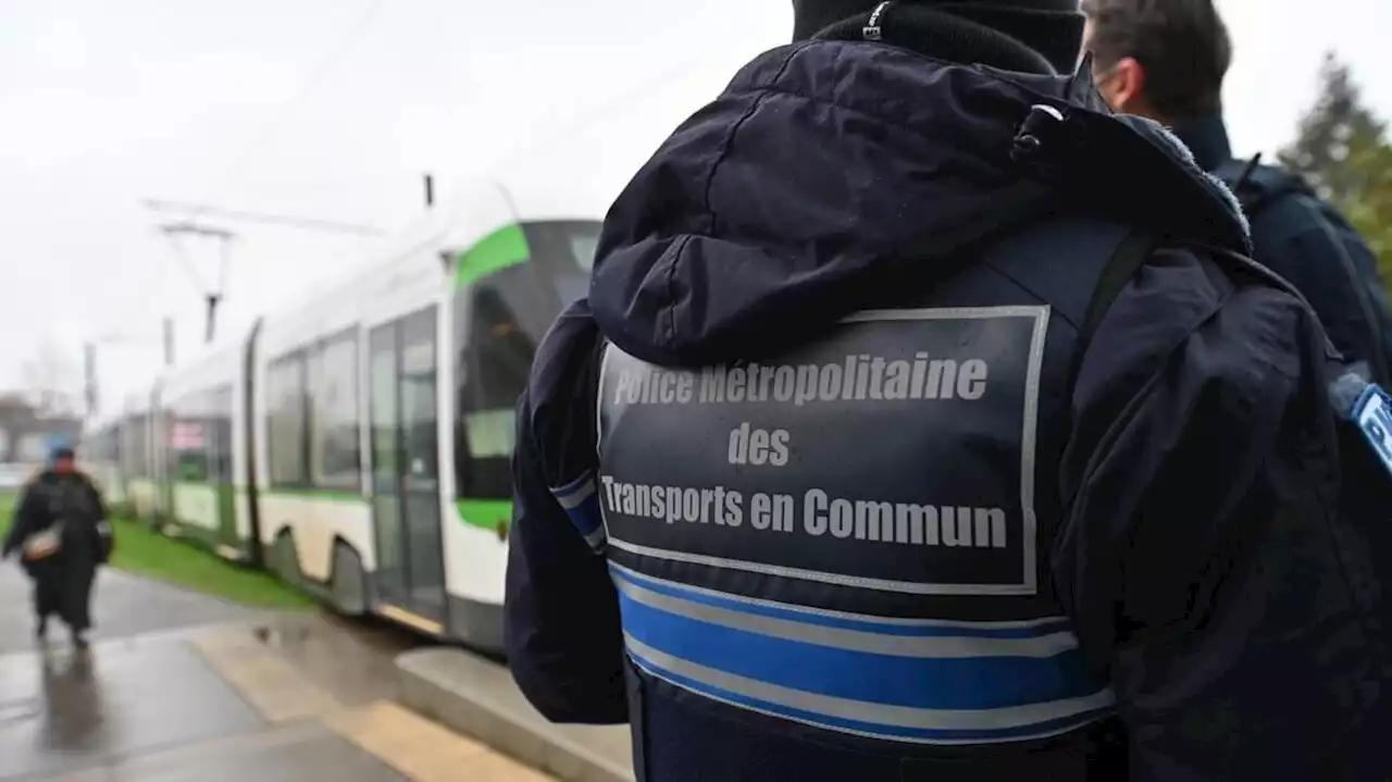 Police municipale : une brigade canine à Nantes en 2024