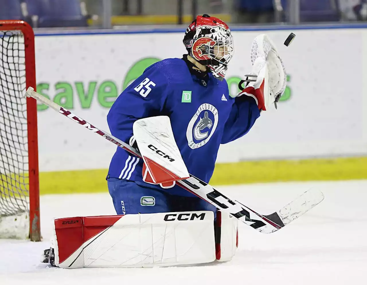 NHL campers Young, Parker set for season debuts for Cougars, Royals