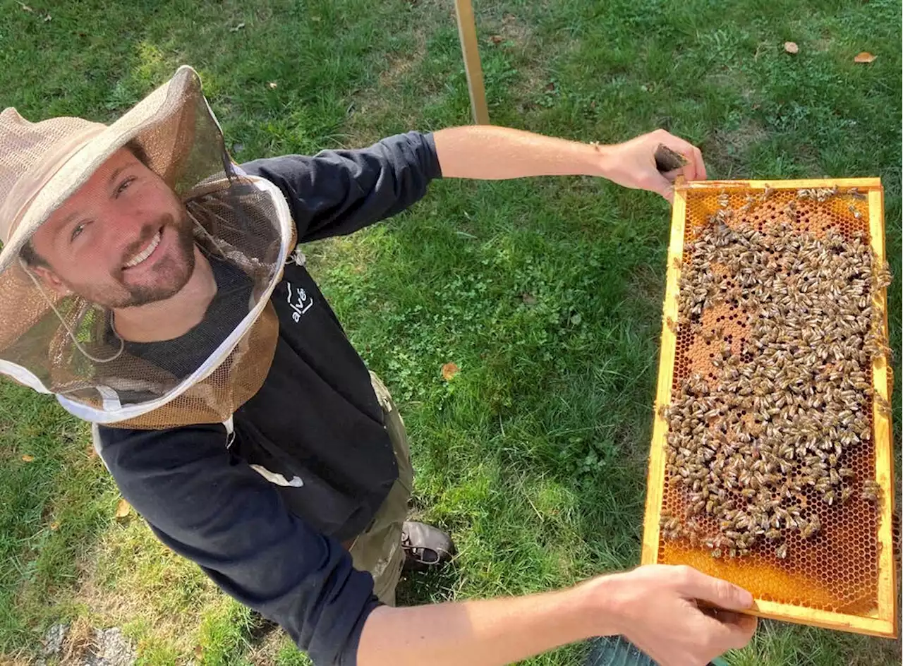 Thief buzzes off with North Vancouver church's bees