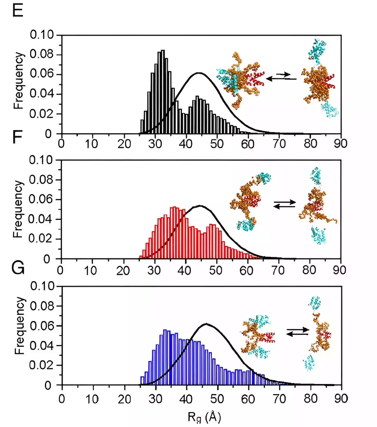 How disordered proteins contribute to the properties of the rabies virus