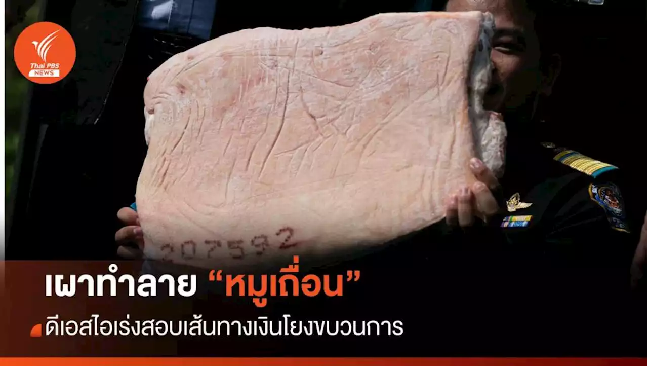 เผาทำลาย 'หมูเถื่อน' ล็อตแรก 10 ตู้จาก 161 เร่งสืบเส้นทางเงินโยงขบวนการ