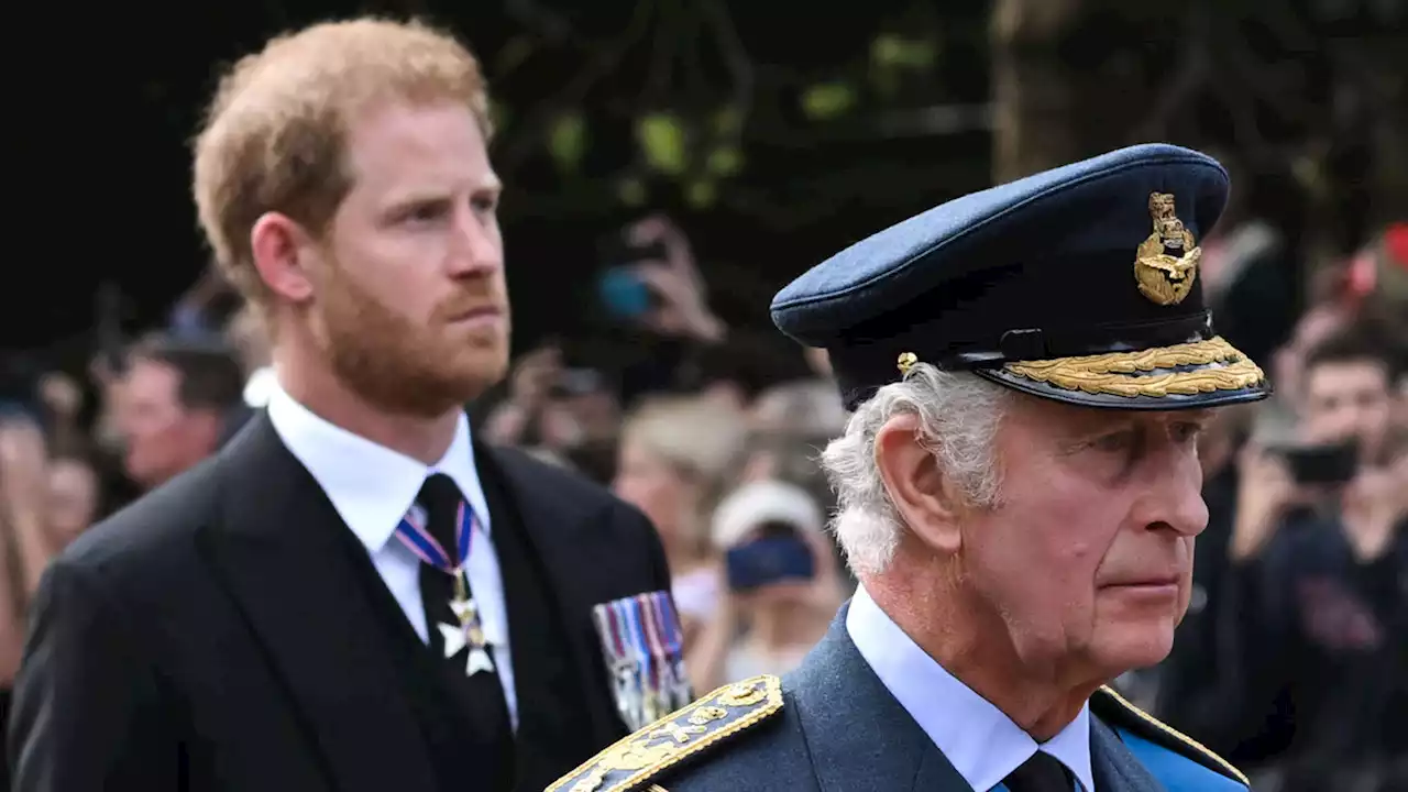 King Charles Has a ‘Strategic Need’ to Reconcile With Prince Harry