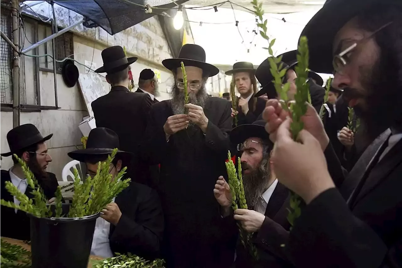 What is Sukkot? Meaning behind the Jewish holiday and the 'Chag Sukkot