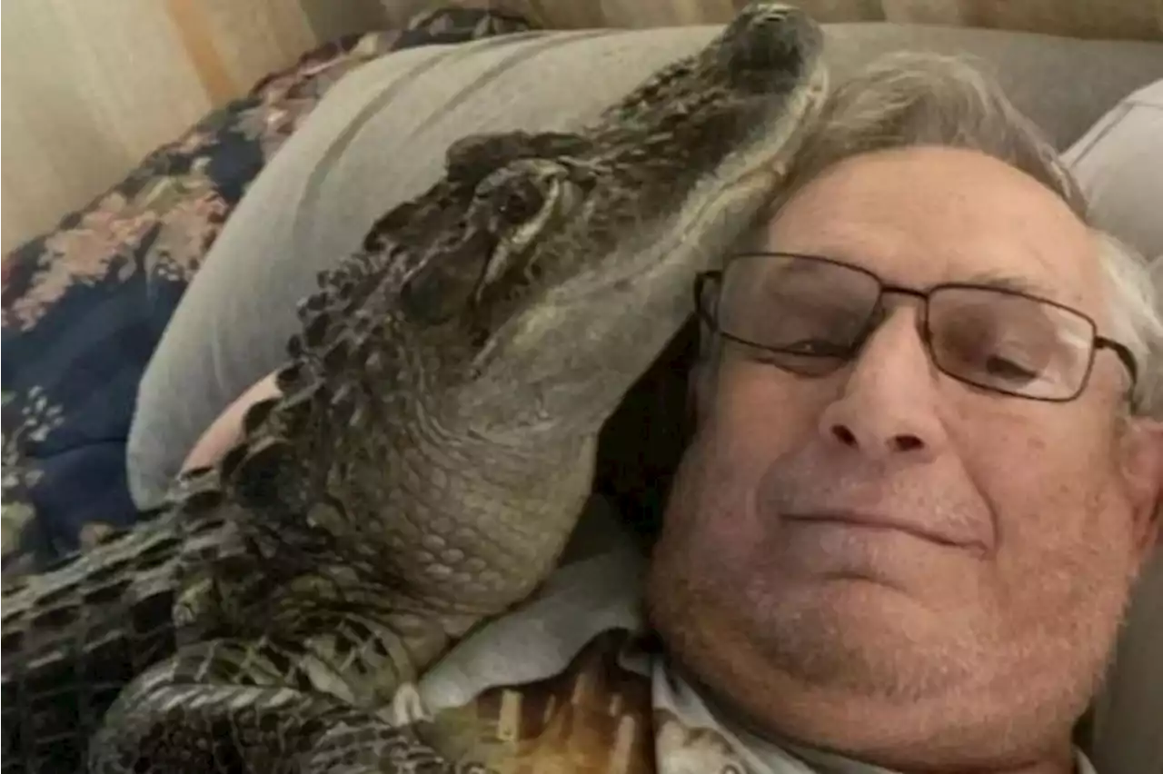 Emotional support alligator turned away from baseball stadium in Philadelphia