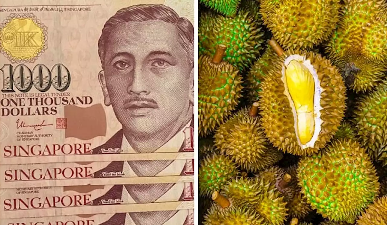 Singaporean Lost Over SGD110,000 In A Durian Scam In Johor