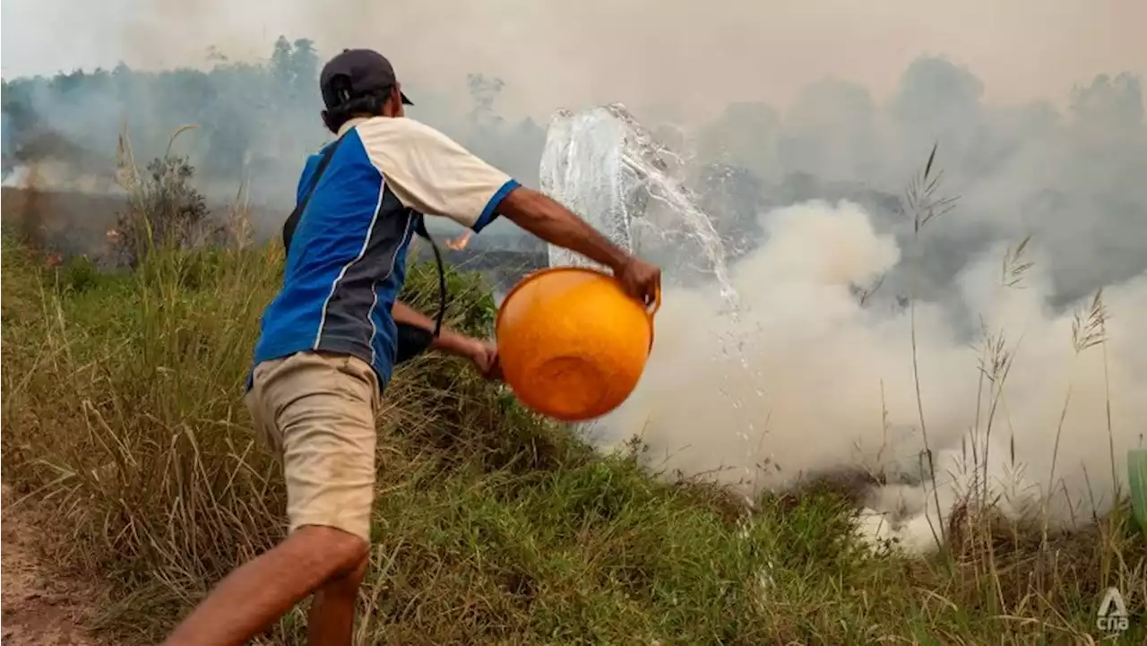 Ancaman kebakaran hutan meningkat di Indonesia, bersedia hadapi jerebu luar biasa