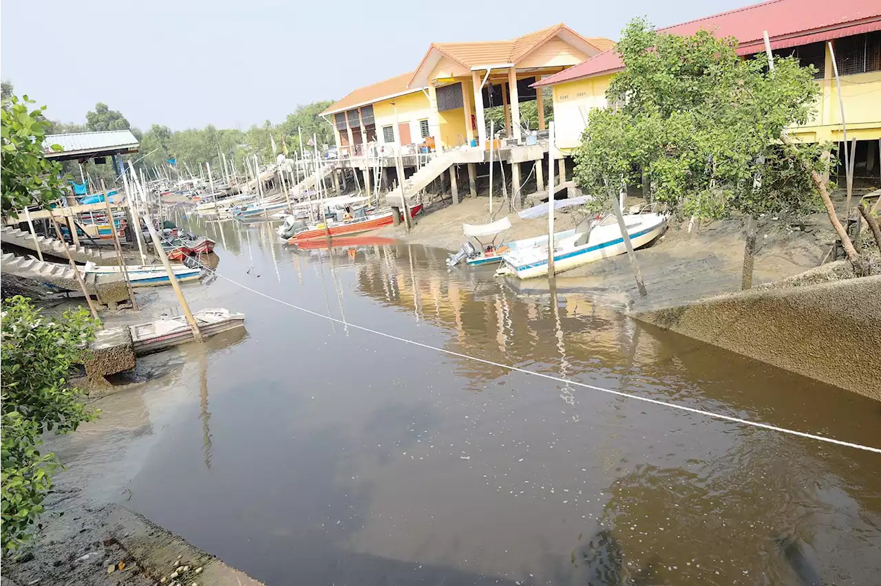 Sungai Sembilang tercemar, pendapatan nelayan terjejas