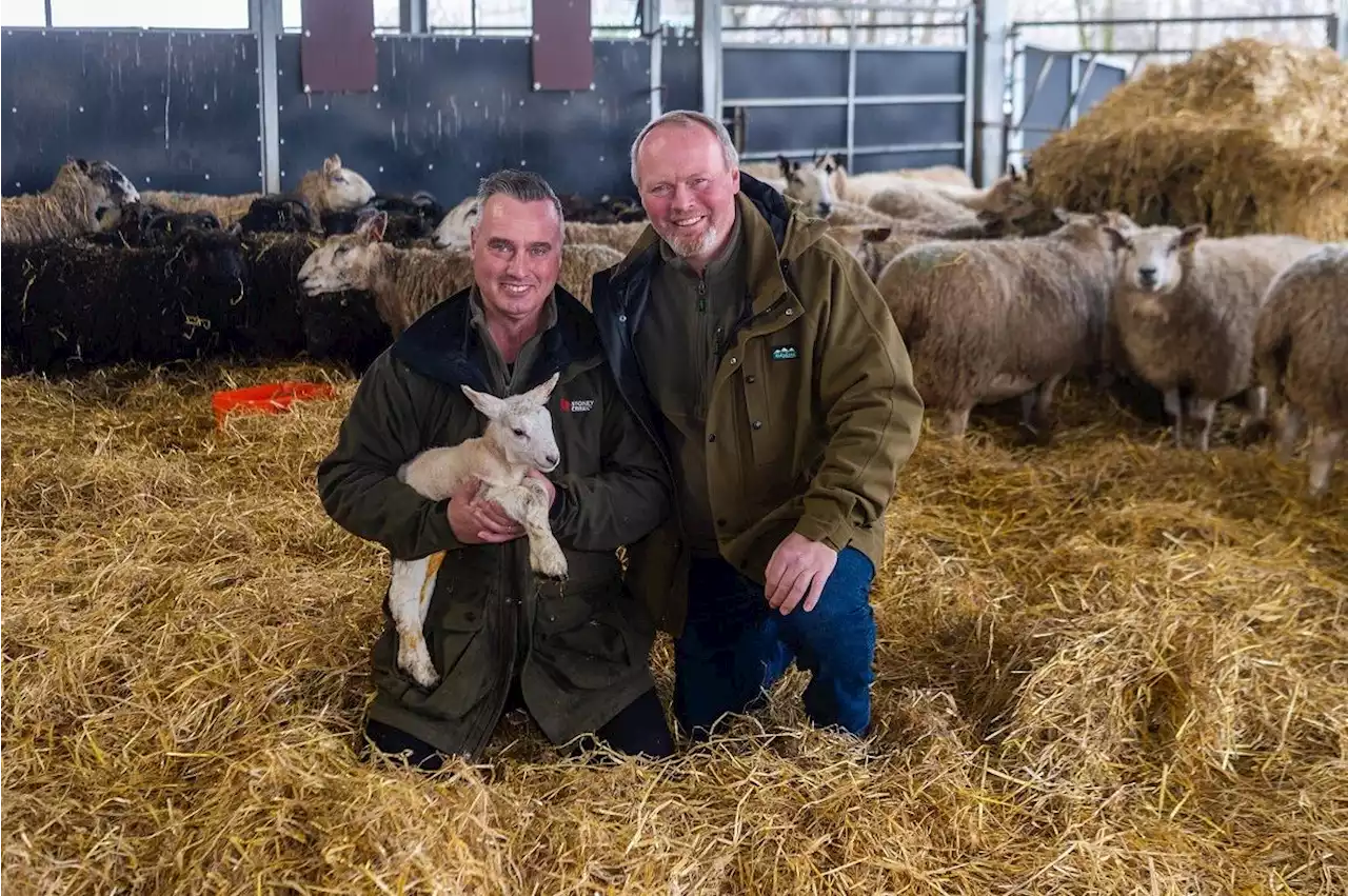 Cannon Hall Farm celebrates being nominated for TV Choice Award and welcomes baby goats