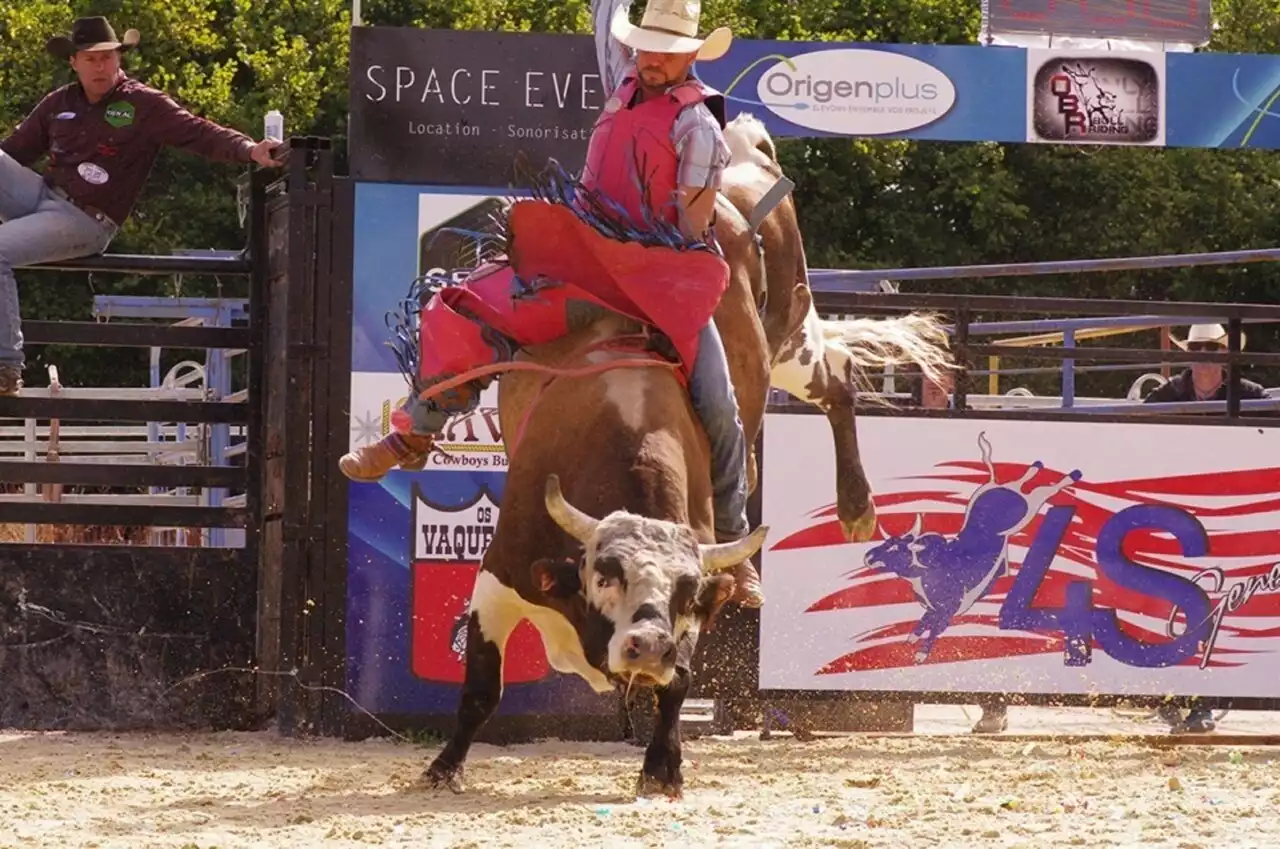 A Glos-la-Ferrière, le 4S Ranch forme des taureaux champions de bull-riding