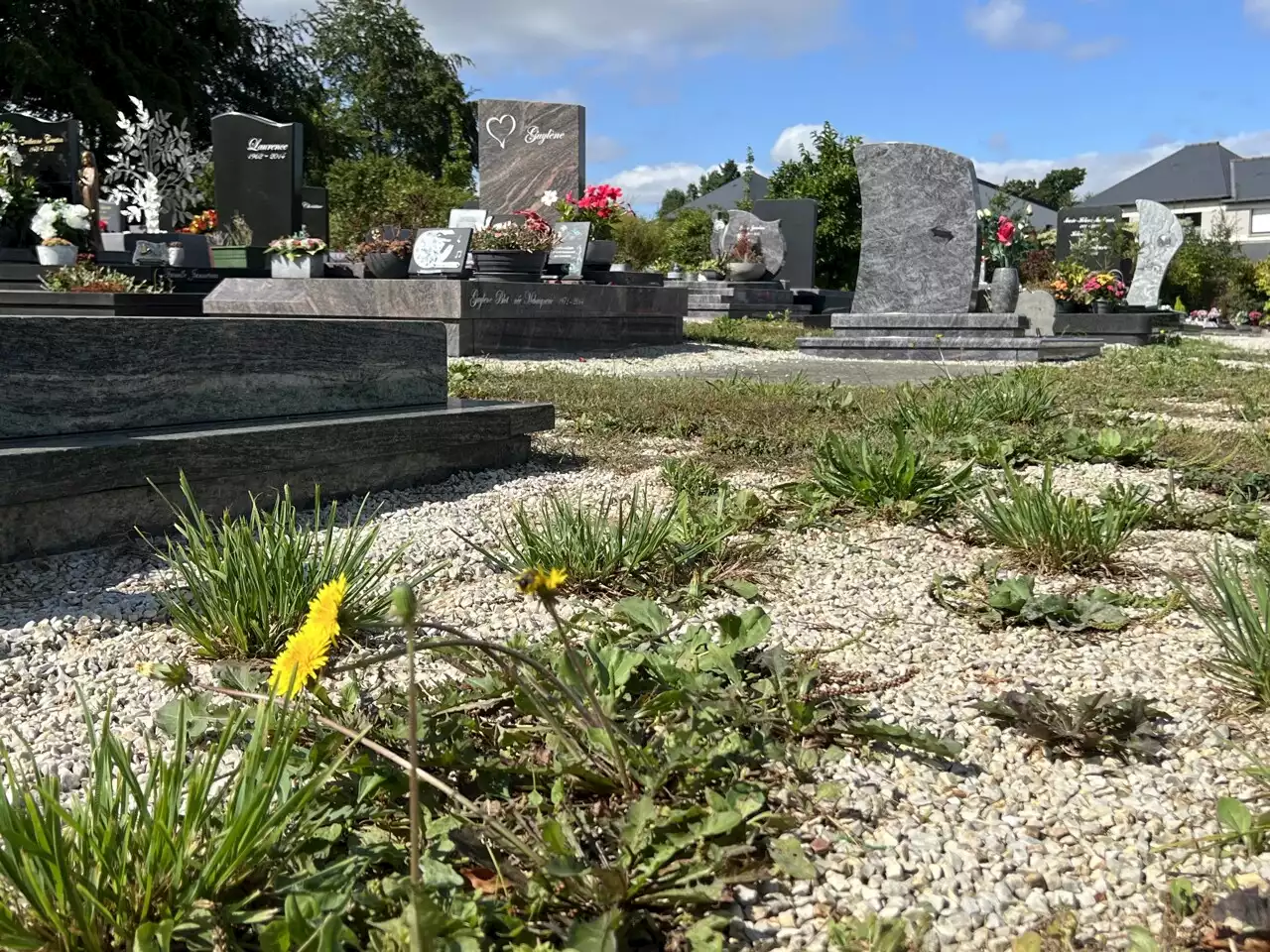 Cimetière Saint-Gilles à Vitré : 'Dans six mois, ça va être la brousse'