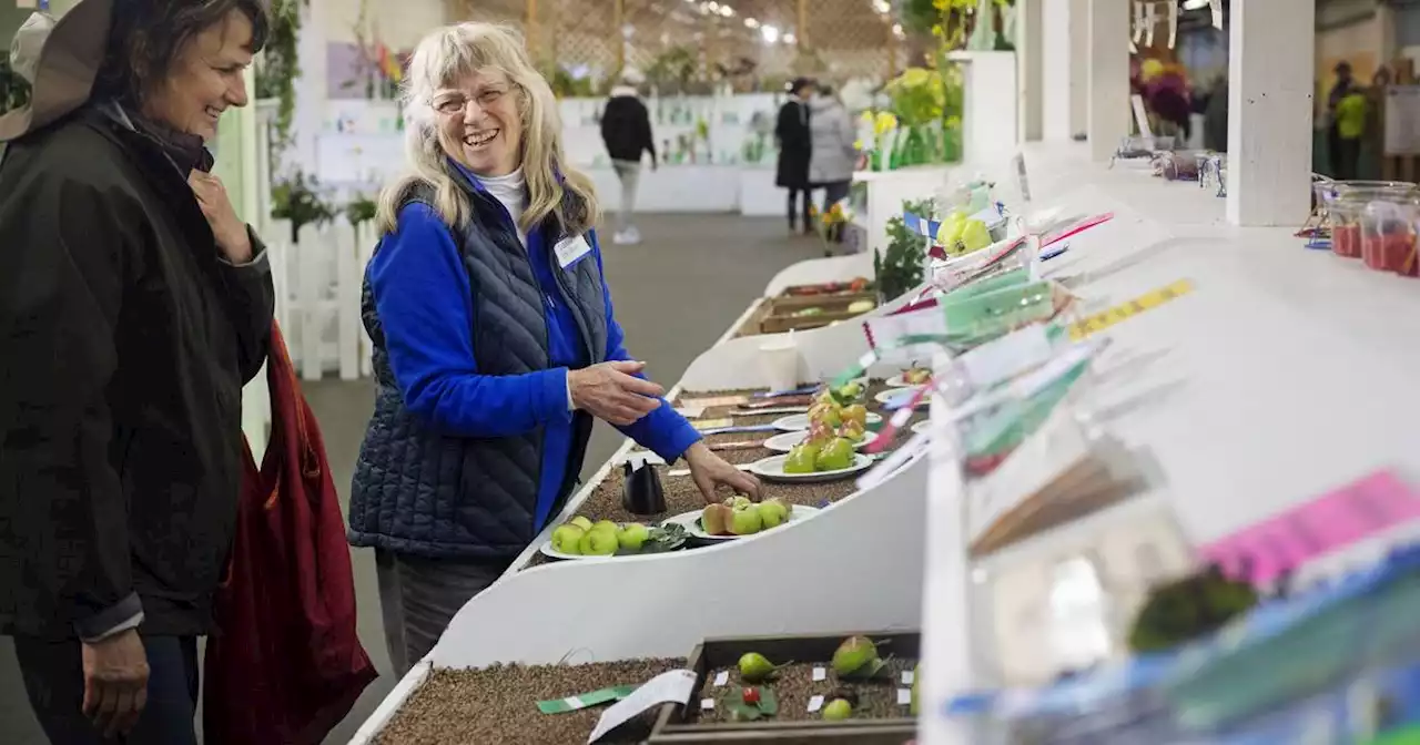 Tiny, mighty, sometimes ugly: An ode to some of the Alaska State Fair’s overlooked crops