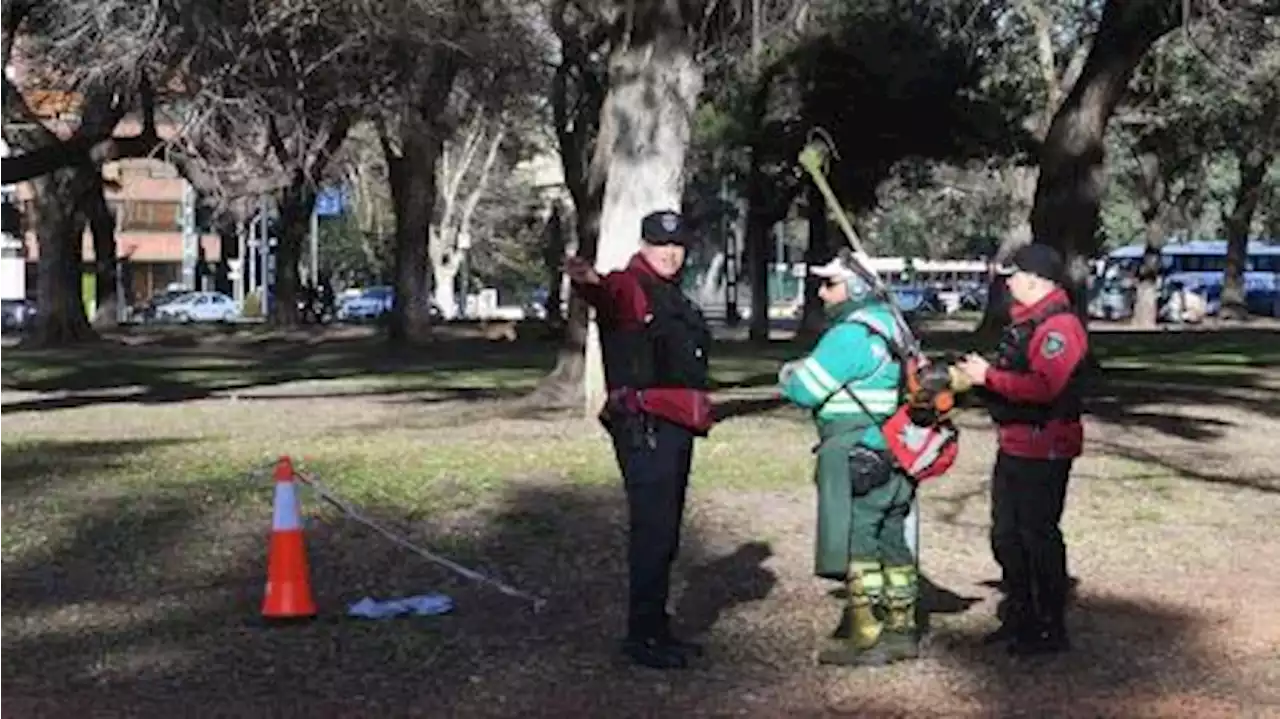 Crimen del ingeniero: una cámara captó al sospechoso en otra plaza de Palermo