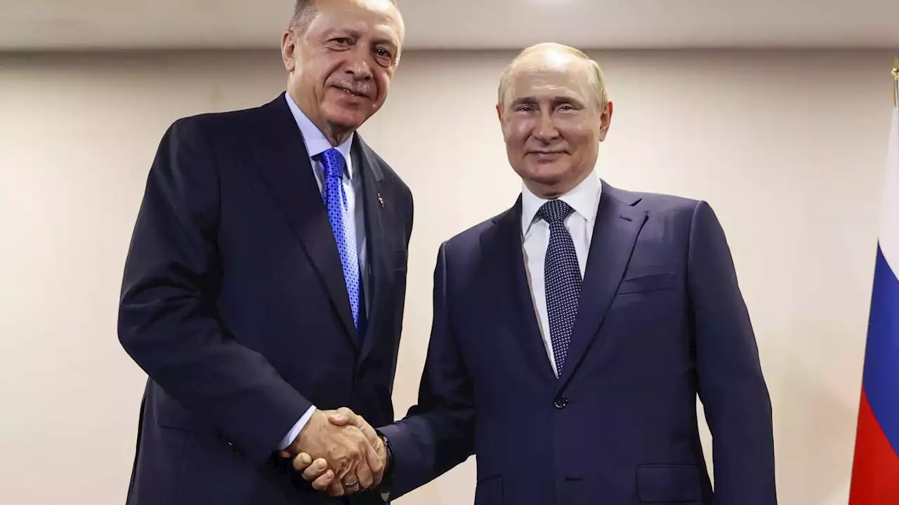 What's at stake when Turkey's leader meets Putin in a bid to reestablish the Black Sea grain deal