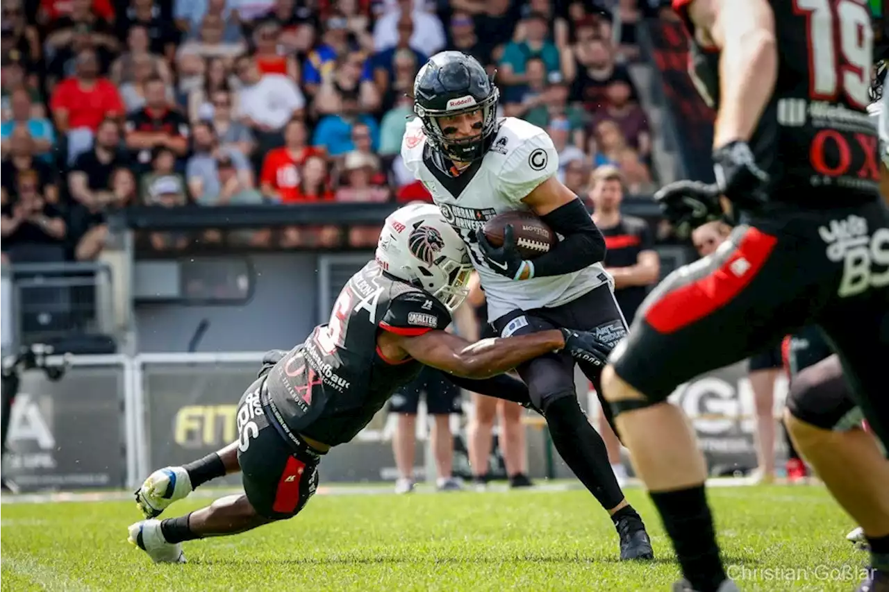 American Football: Berlin Rebels in den Play-offs, weil Berlin Adler verlieren