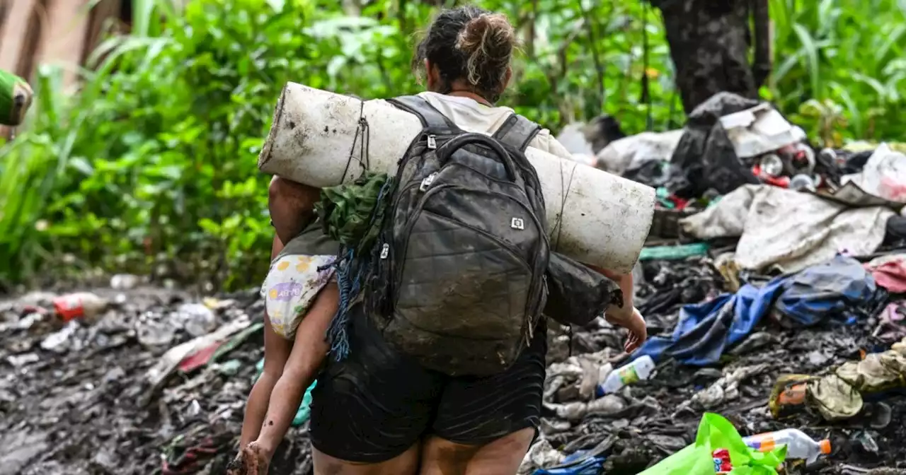 “Militarizar frontera aumenta sufrimiento de migrantes”: Médicos Sin Fronteras ante crisis en Darién