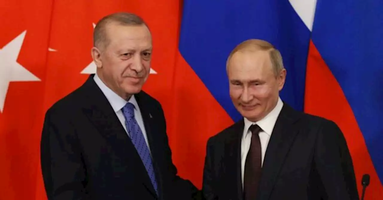 Putin Set to Meet with Turkey's Erdogan for Black Sea Grain Deal Talks