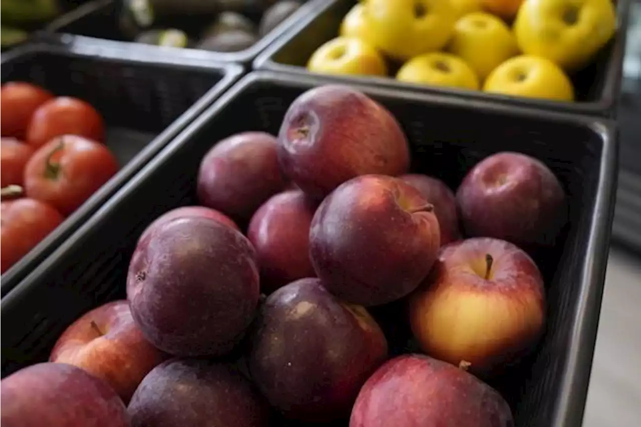 Quebec apple farmers want government help to deal with changing tastes and climate