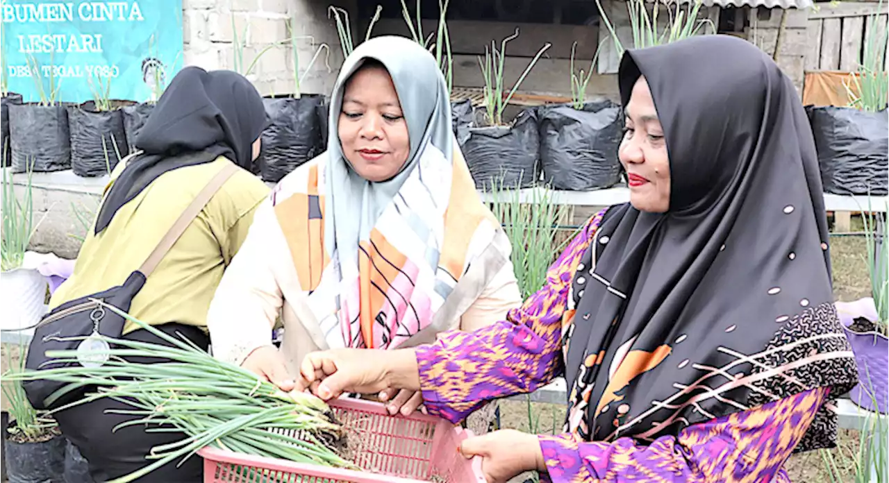 Asean celebrates biodiversity, livelihood projects in Indonesia