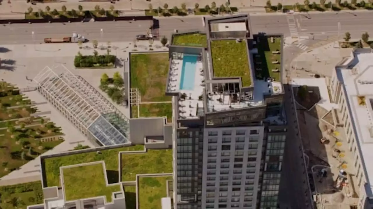 Canada's largest city is hiding hundreds of secret gardens