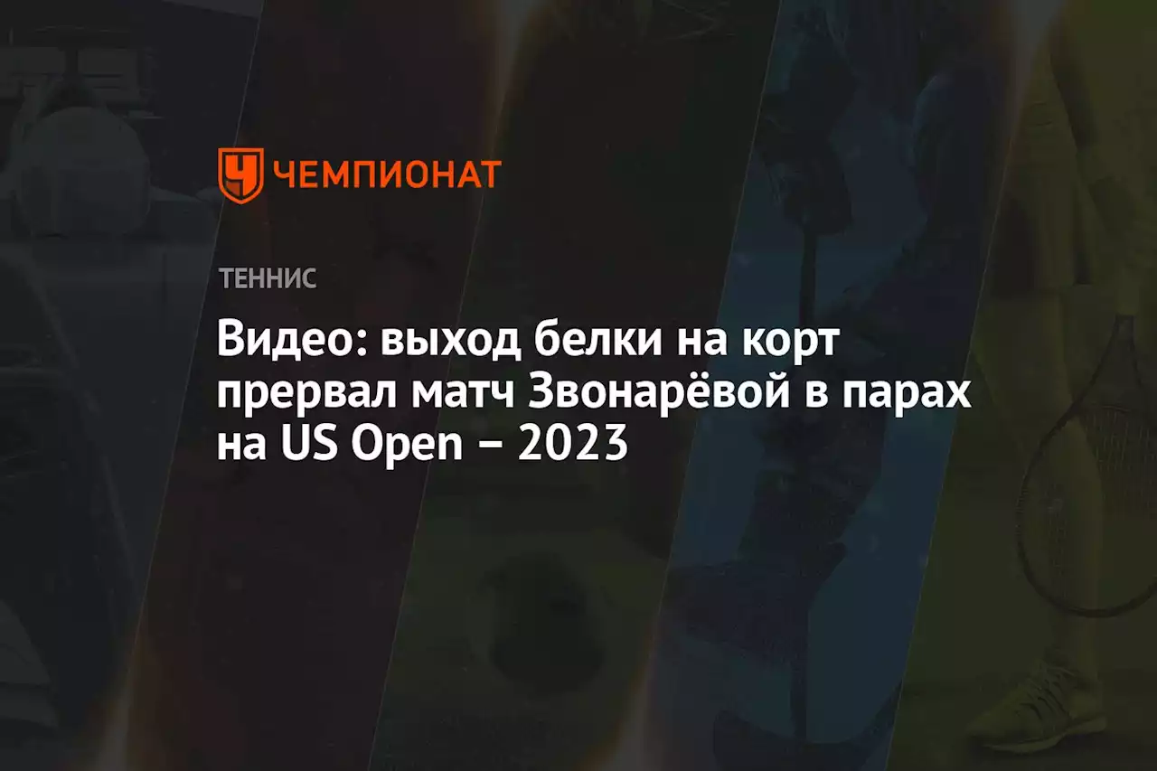 Видео: выход белки на корт прервал матч Звонарёвой в парах на US Open