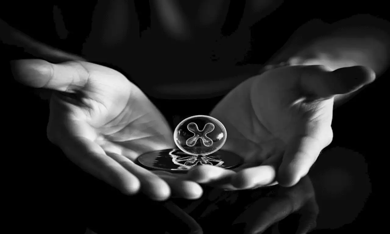 ChatGPT suggests that XRP’s performance is only going to be modest