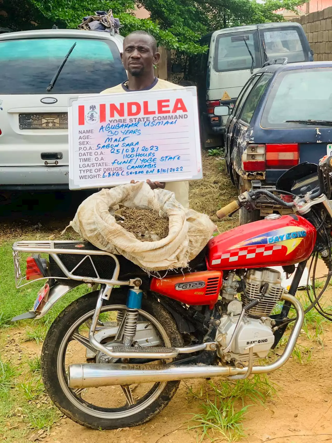 NDLEA arrests notorious drug dealer with 6.8kg of cannabis in Yobe