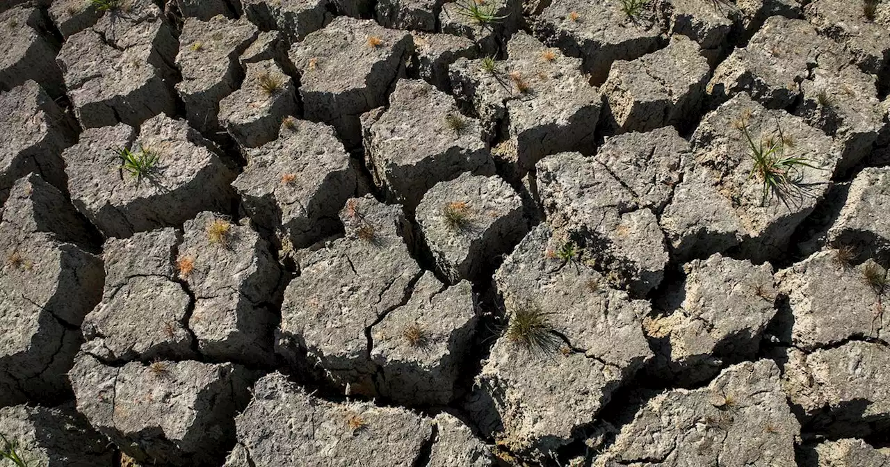 Summer 2023 was 3rd-hottest and 4th-driest in Dallas-Fort Worth history