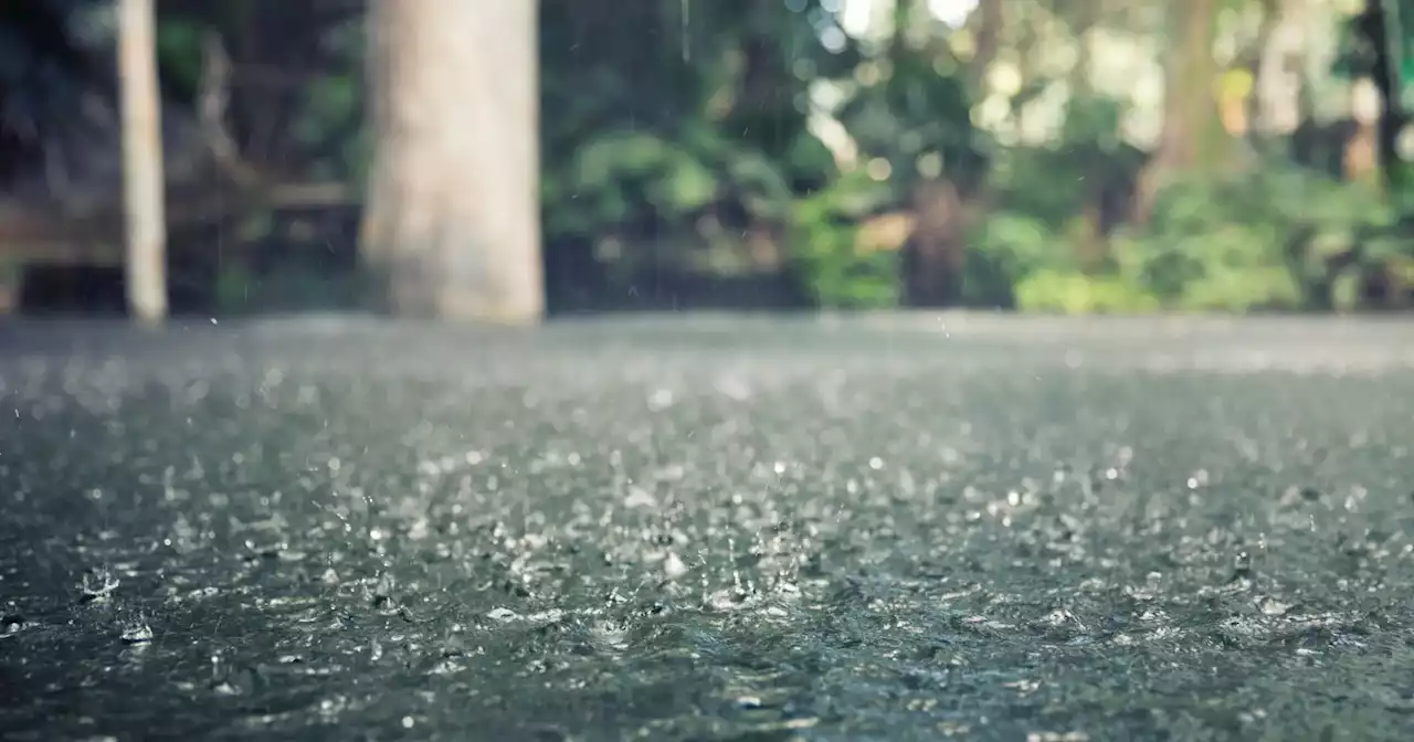 Sete distritos de Portugal continental sob aviso laranja por chuva forte e trovoada