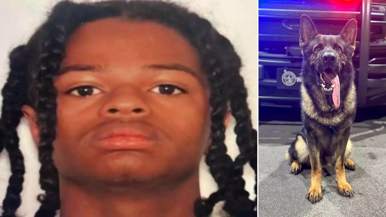 Georgia suspect, 17, killed after fatally shooting police K-9, authorities say