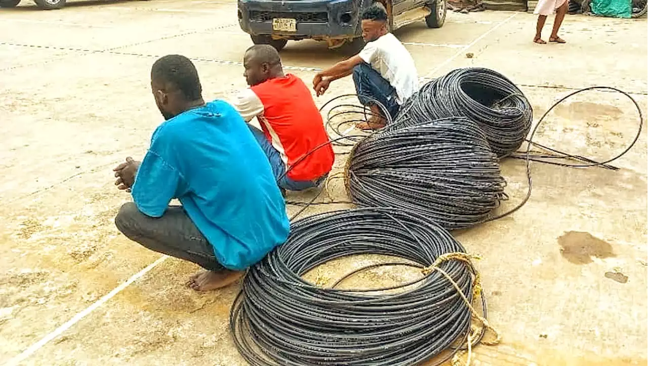 NSCDC nabs 3 suspected vandals, cable thieves in FCT | The Guardian Nigeria News